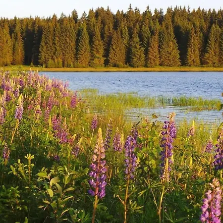 Апартаменты Am Skihang Eg By Interhome