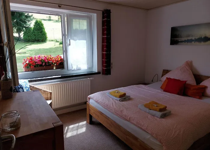 Am Skihang Eg By Interhome Appartamento Carlsfeld