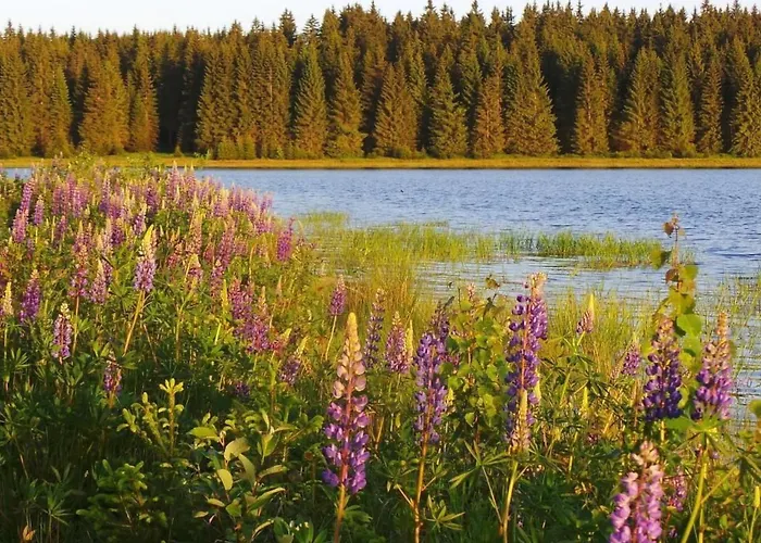 Apartment Am Skihang Eg By Interhome